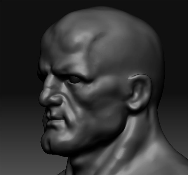    (ZBrush)